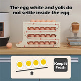 Refrigerator egg storage box